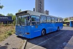 Citta LE